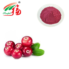 Purple red Vegetable Fruit Powder Anti adherence Natural Cranberry Fruit Extract
