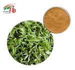30% - 98% Polyphenols Green Tea Extract Powder Catechins Supplement