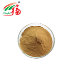 Human Muscle Eurycoma Longifolia Jack Extract Tongkat Ali 2% Eurycomanone Powder