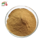 30% Polysaccharides Mushroom Extract Powder Reishi / Ganoderma Lucidum Extract