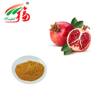 Pomegranate Extract Vegetable Fruit Powder Ellagic acid For Skin Smoothness