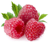 Raspberry Extract Vegetable Fruit Powder 10:1 Purple Red For Anti diabetes