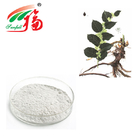 Cosmetics White Pure Resveratrol Extract Powder 98% Natural Biological
