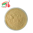 UV Ginseng Extract Powder 80% Ginsenosides For Dietary Supplements