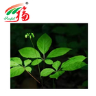 15% Ginsenosides Panax Ginseng Extract Stem Leaf UV For Function Food