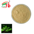 Ginseng Stem Leaf Extract Powder 50% Ginsenosides UV Use For Dietary Supplements