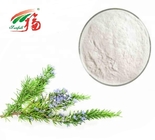 90% - 98% Rosmarinic Acid Powder / Rosemary Antioxidant Extract For Pharmaceutical