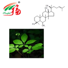 HPLC 20% Ginsenosides Extract Ginseng Leaf Stem For Drink Ingredients