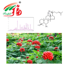 30% Ginsenosides Supplement Ginseng Stem Leaf Pure Herbal Extracts HPLC