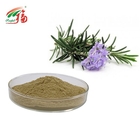 Herb Rosemary Extract Powder Ursolic Acid / Carnosic Acid For Food
