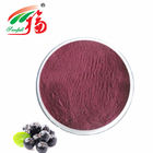 10% Anthocyanidins Anthocyanin Extract Powder / Aronia Berry Supplement