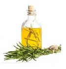 Herb Rosemary Essential Oil Extract 20% Carnosic Acid For Healthy Products