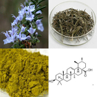 Rosemary Cosmetics Plant Extracts Powder 95% Rosmarinic Acid HPLC
