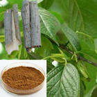 Leaf Eucommia Ulmoides Bark Extract Chlorogenic Acid For Egg Boost