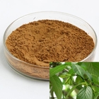 Natural Eucommia Bark Extract Chlorogenic Acid For Animal Fattening