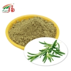 5% - 25% Carnosic Acid Rosemary Extract Powder Antioxidant For Food