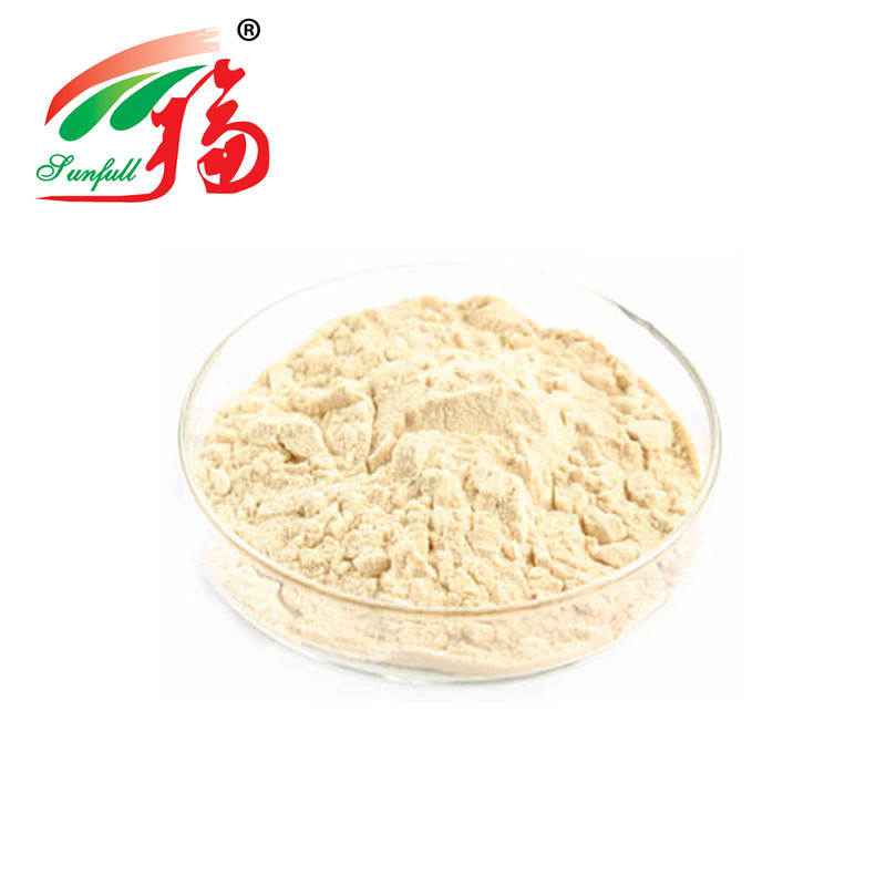 Natural Sweetener Luohanguo Extract 25% Mogroside V Monk Fruit Extract