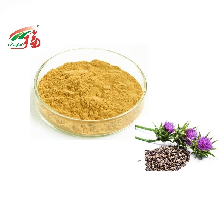 Milk Thistle Herbal Plant Extract 80% silymarin extract For Liver Protection