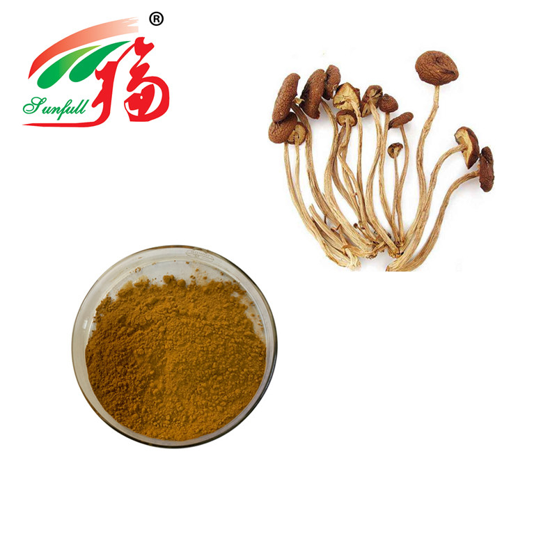 Polysacchrides Herbal Plant Extract Agrocybe Chaxingu Extract 20%