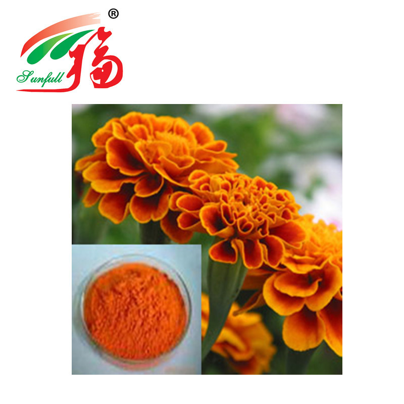 GMO Free Natural Marigold Flower Extract 10% Lutein To Improve Eyesight