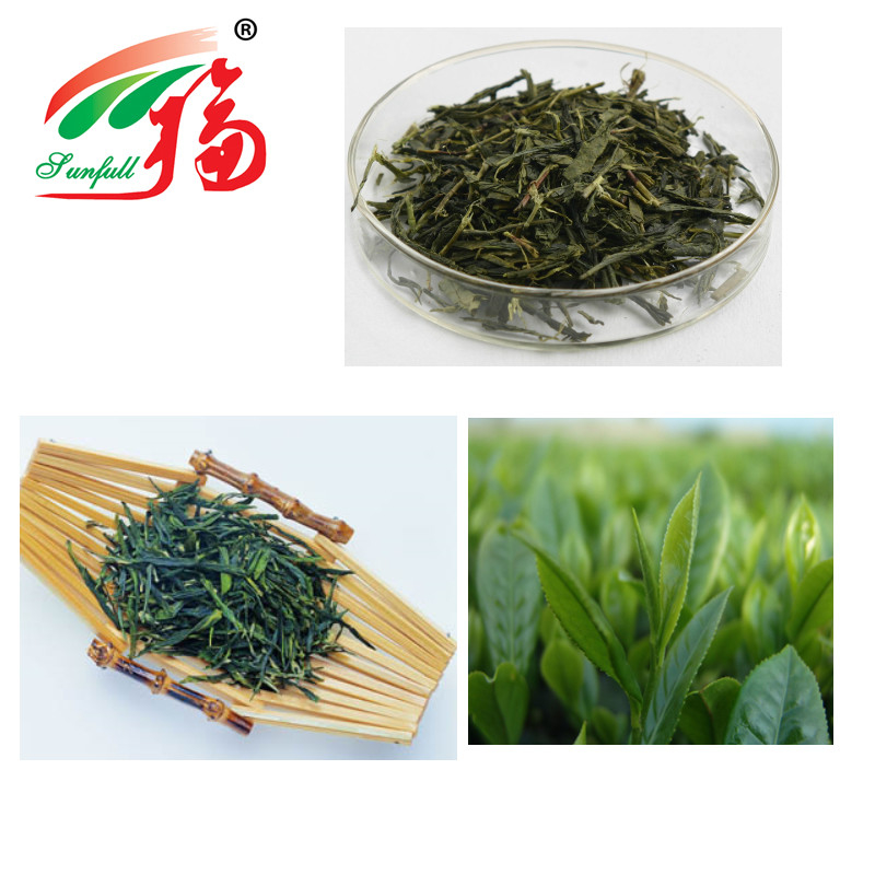 Green Tea Extract Powder 95% EC For Pharmaceutical Materials And Food Additive