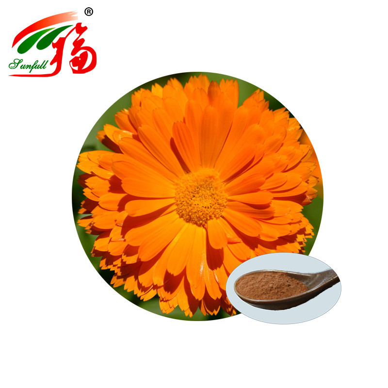 Visual Function Marigold Flower Extract Fine Powder 10% Lutein