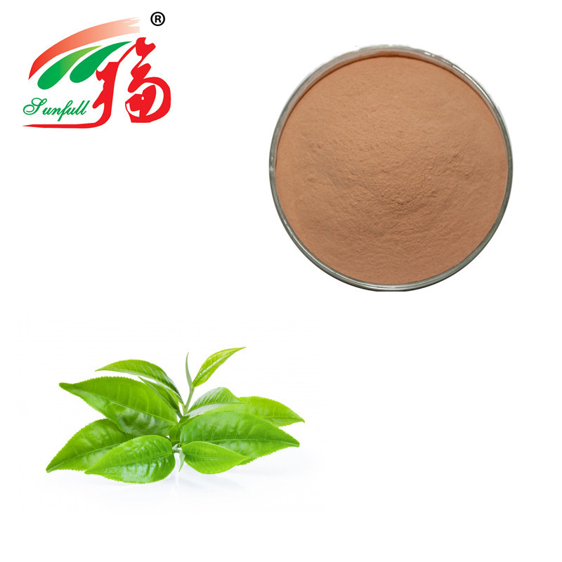 50% EGCG Green Tea Extract Powder Pharmaceutical For Lowering Triglycerides