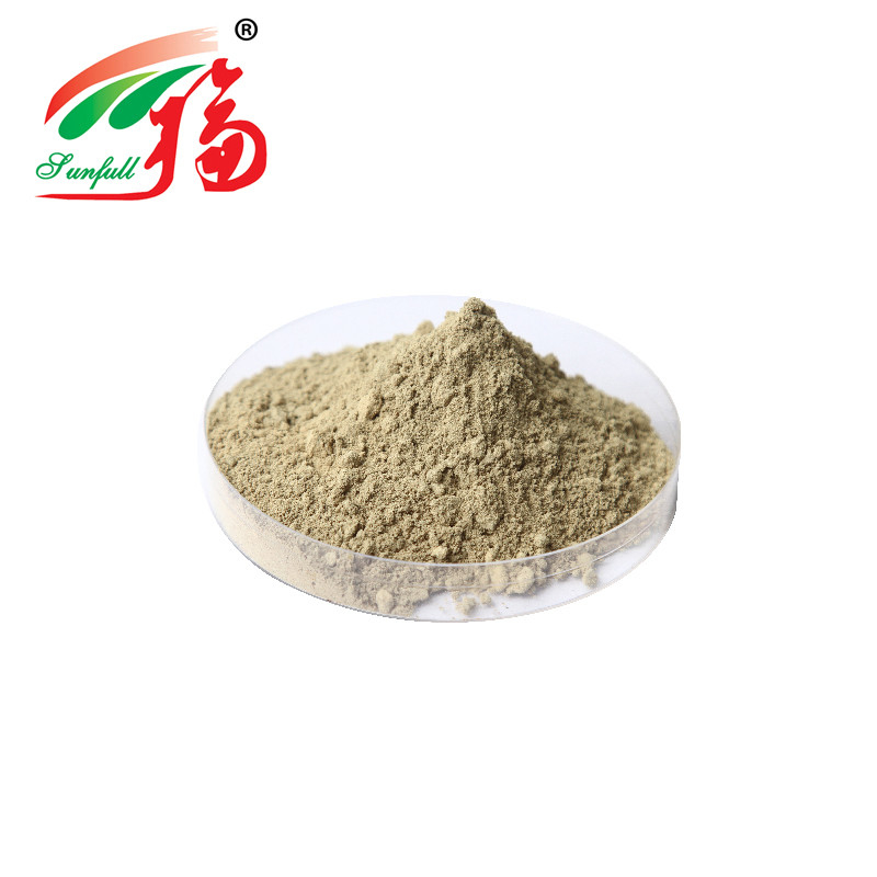 Green Tea Extract Natural 20% L-Theanine Green Tea Extract Powder For Beverage