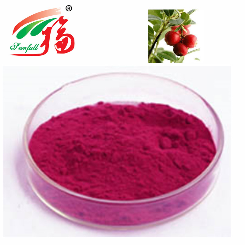 Natural Cranberry Extract 10% Prothocyanidins For Non Alcoholic Beverages