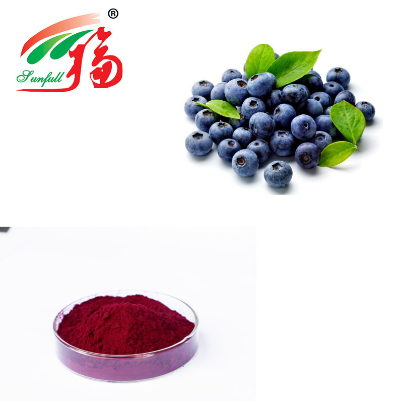 Bilberry Fruit Anthocyanin Extract Powder Soluble In Water For Functional Food