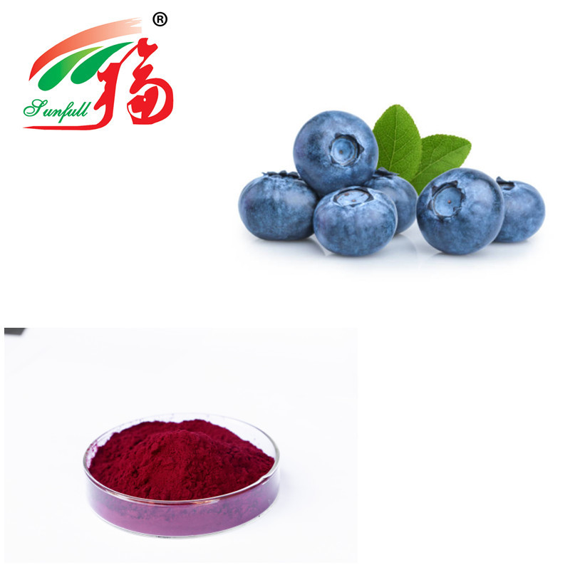 Natural Bilberry Fruit Anthocyanin Extract Powder Anti Aging In Cosmetics