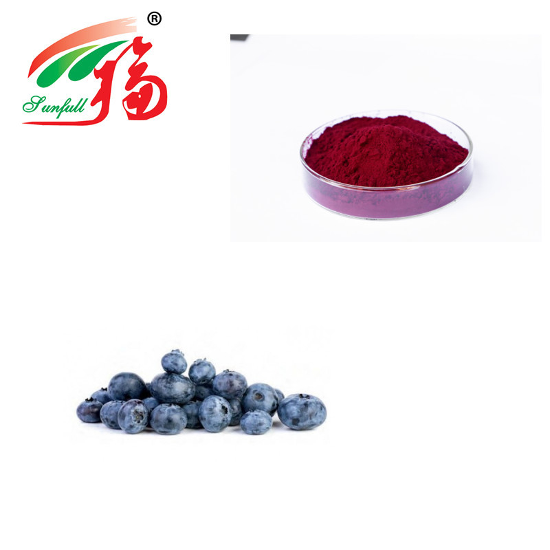 Bilberry Fruit Powder Anthocyanin Extract Powder Used In Pet Food