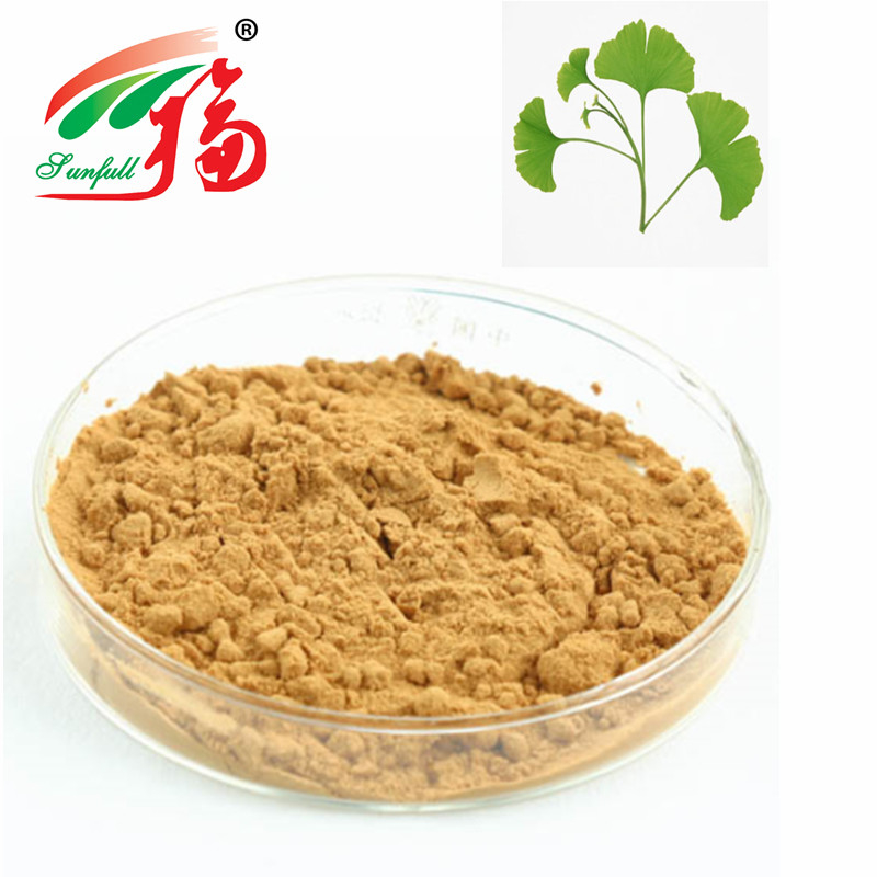 Ginkgo Biloba Leaf Extract For Dietary Supplements & Drink Additives