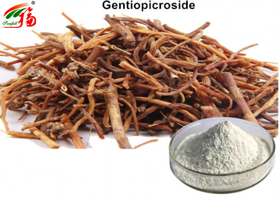 Gentian Extract Powder 30% Gentiopicroside For Indigestion Treatment