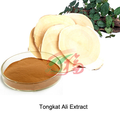 Tongkat Ali Eurycoma Extract