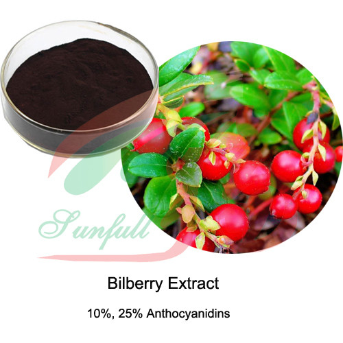 Natural Bilberry Fruit Extract Powder 5% 10% 25% Anthocyanidins