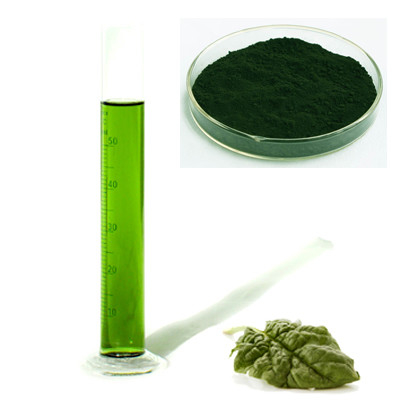 Chlorophyllin