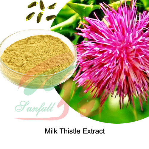 Milk Thistle Extract Silymarin