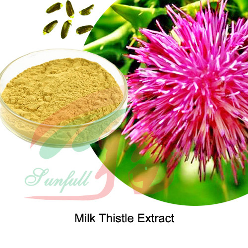Natural Milk Thistle Extract Powder 40% 80% Silymarin For Liver Health