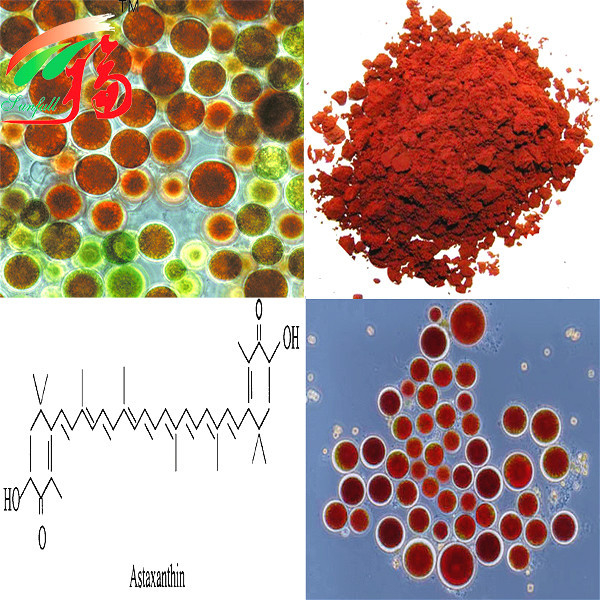 Astaxanthin