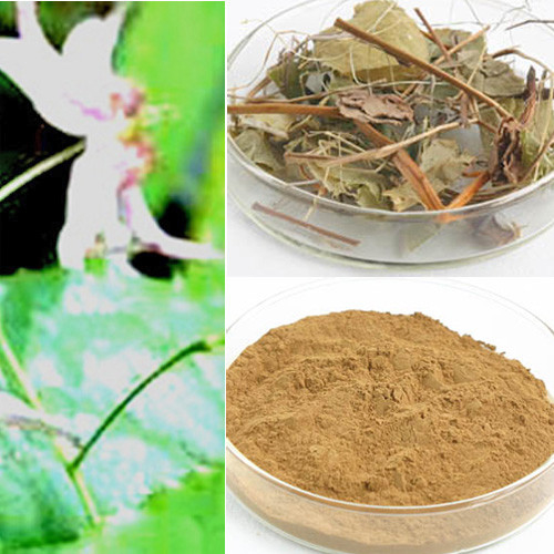 Epimedium Extract Icariin