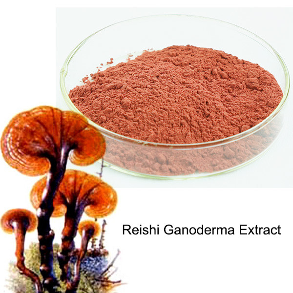 Natural Reishi Ganoderma Extract Powder 10% ~ 30% Polysaccharides