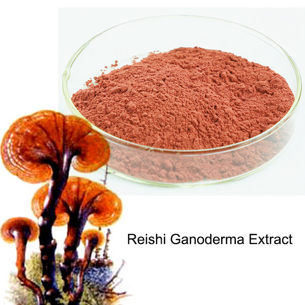 Reishi extract