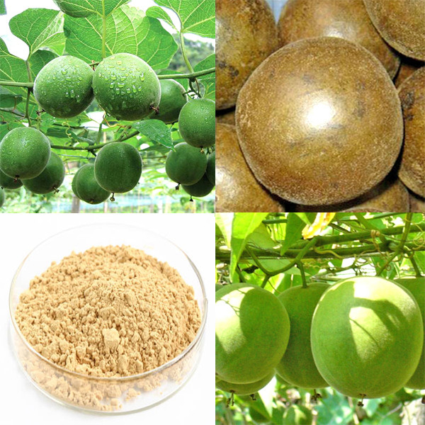 Natural Sweetener Luohanguo Monk Fruit Extract 50% 80% Mogroside V