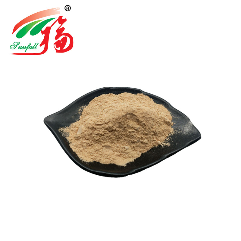 Natural Burdock Root Extract 10:1 Herbal Plant Extract Plant Extract Powder