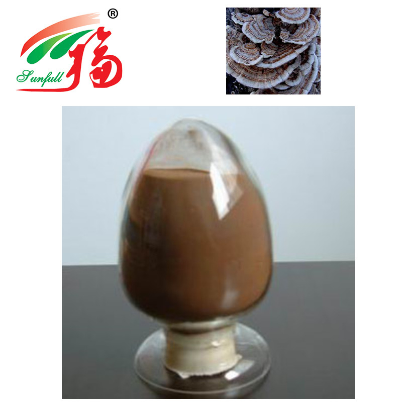 Coriolus Versicolor Extract 30% Polysaccharides For Food Addiitive