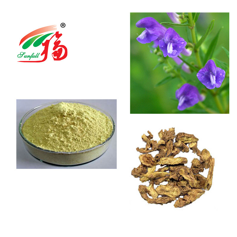 Natural Scutellaria Baicalensis Extract 85% Baicalin Herbal Plant Extract