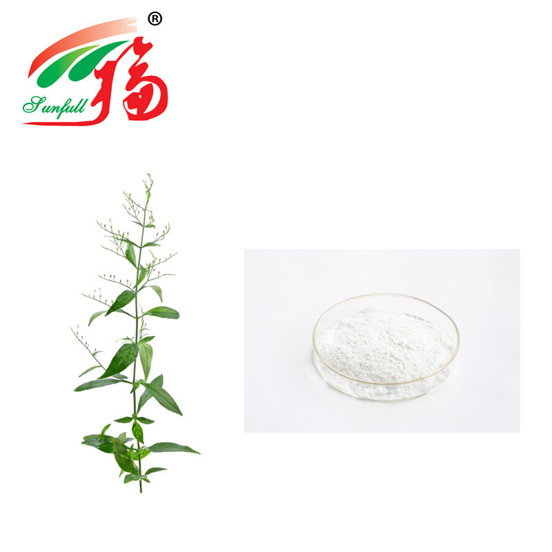 98% Andrographolide Herbal Plant Extract To Accelerate Intestinal Digestion