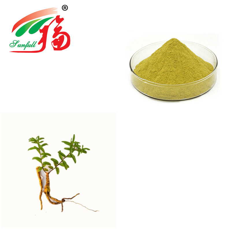 85% Baicalin Scutellaria Baicalensis Extract Herbal Plant Extract Yellow Powder