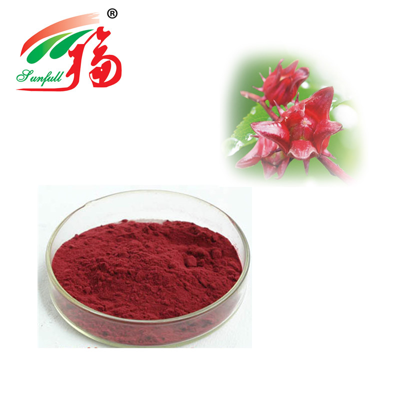 Hibiscus Flower Extract 10:1 Polyphenol Organic Acid Anthocyanin Extract Powder